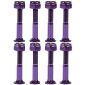 Dime Bag Skateboard Mounting Hardware 1.25" Phillips Purple Nuts and Bolts