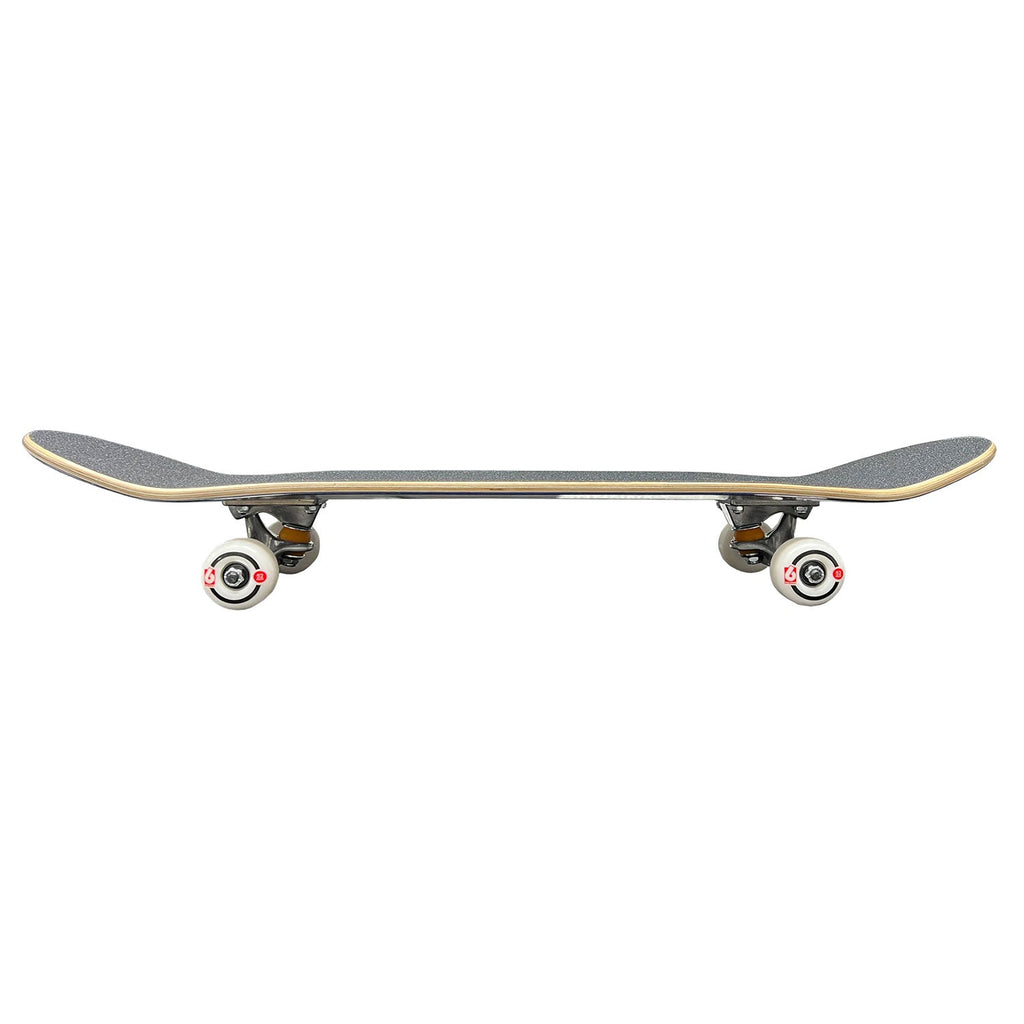 Birdhouse Skateboard Complete Tony Hawk Gargoyle Black 8.25"