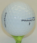 12 Pinnacle Exception