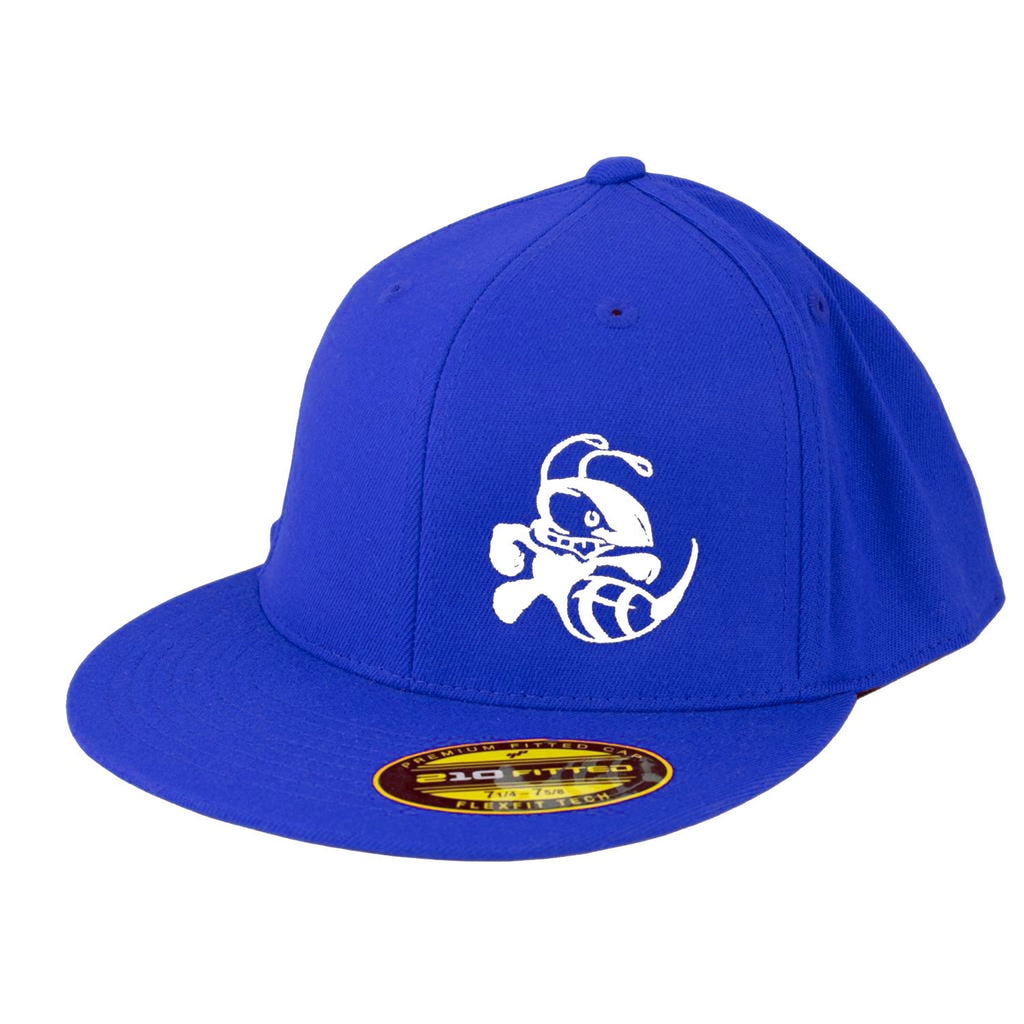 Discraft Disc Golf Hat Buzzz 210 Fitted Flexfit - Choose Size and Color