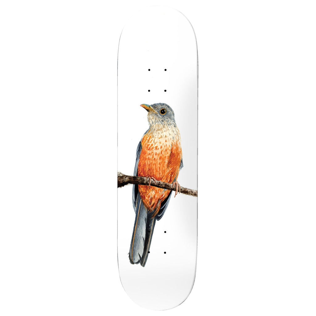 Deathwish Premium Complete Skateboard Yuri Sabia-Laranjeira 8.125" Ft. Independent/Satori