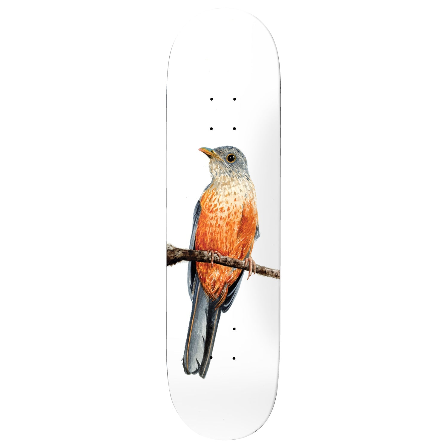 Deathwish Premium Complete Skateboard Yuri Sabia-Laranjeira 8.125" Ft. Independent/Satori