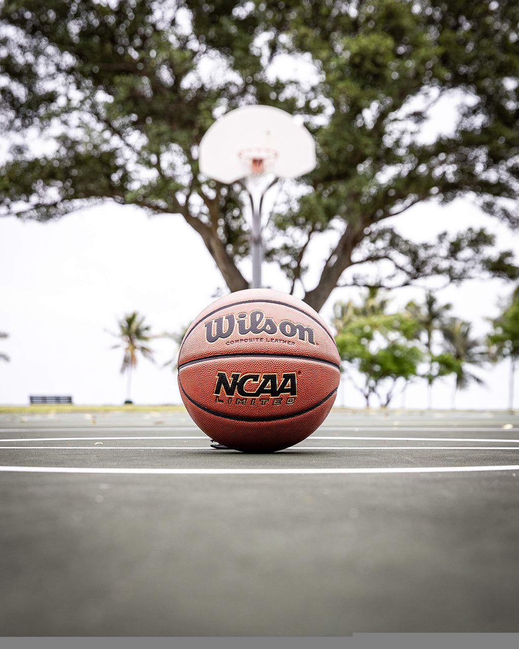 WILSON NCAA LimitedBasketball - 29.5" and 28.5"