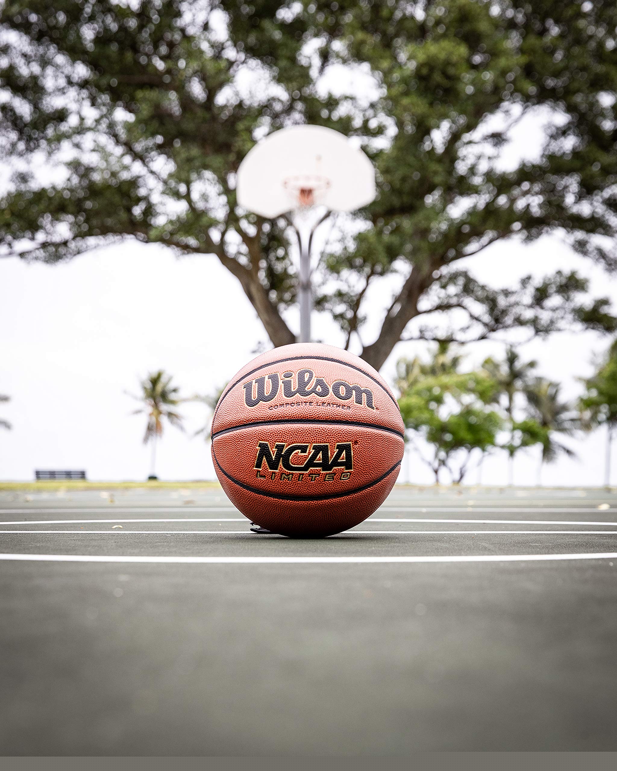 WILSON NCAA LimitedBasketball - 29.5" and 28.5"