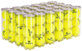Wilson Team Practice Extra Duty Tennis Ball Case